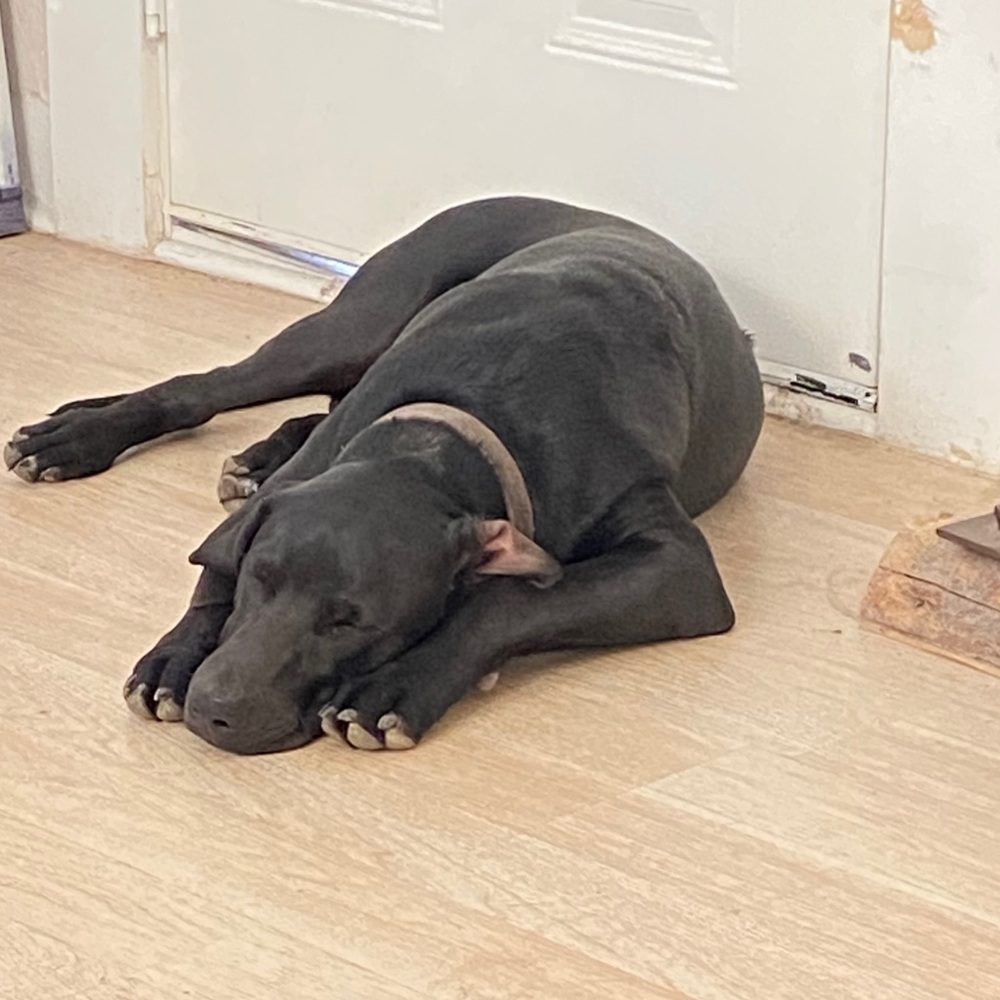 Meet your Posher, Karina